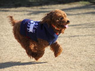 20121208_09.jpg