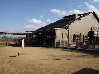 20121208_10.jpg