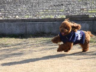20121208_11.jpg