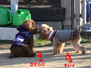 20121208_12.jpg