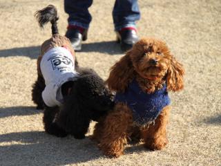20121208_15.jpg