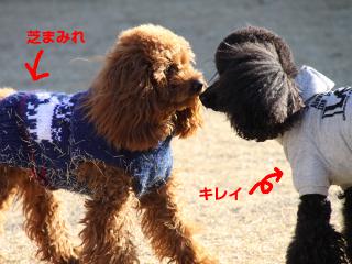 20121208_16.jpg