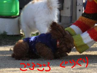 20121208_18.jpg