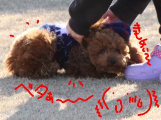 20121208_19.jpg