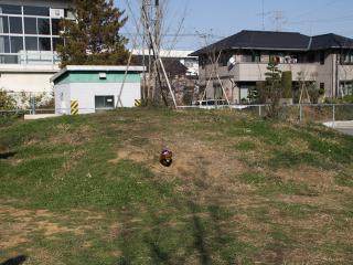 20121208_20.jpg