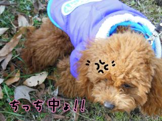 20121215_01.jpg