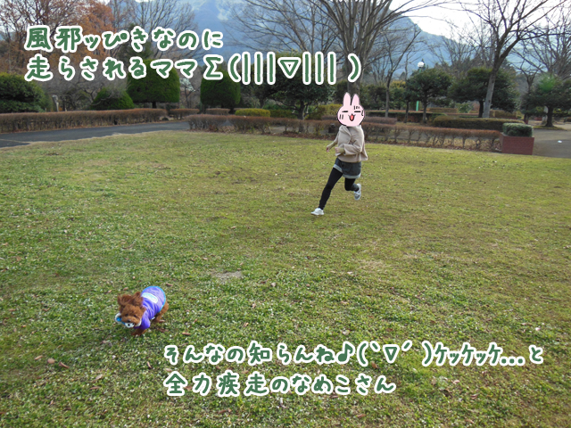 20121215_02.jpg