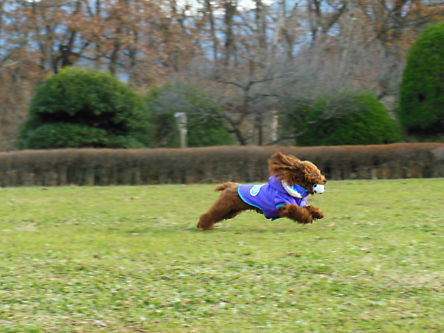 20121215_03.jpg