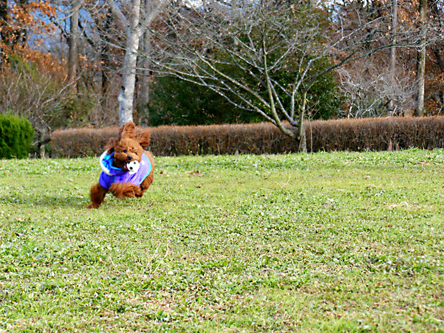 20121215_04.jpg