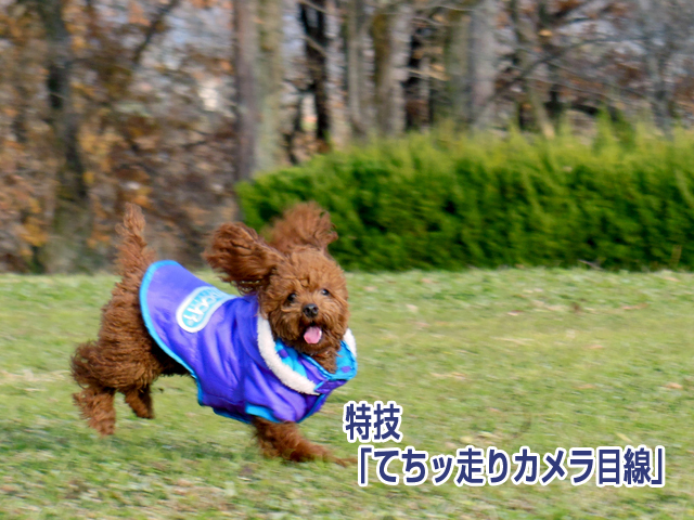 20121215_05.jpg