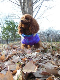 20121215_06.jpg