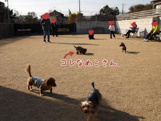 20121223_01.jpg