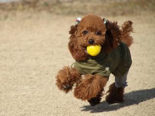 20121223_02.jpg