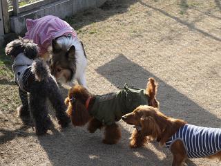 20121223_04.jpg
