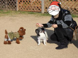 20121223_08.jpg