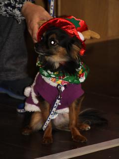 20121223_10.jpg