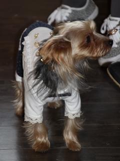 20121223_13.jpg