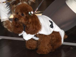 20121223_14.jpg