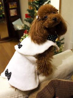 20121223_16.jpg