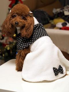 20121223_17.jpg