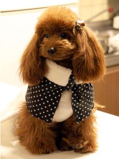 20121223_18.jpg