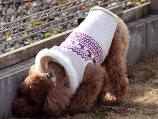 20130106_04.jpg