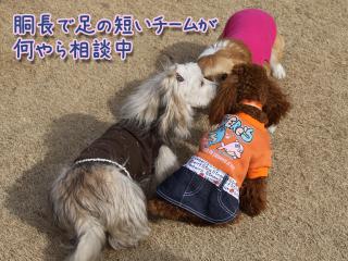 20130106_05.jpg
