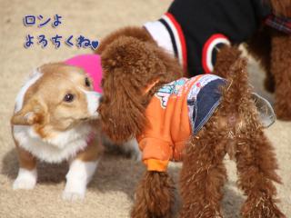 20130106_06.jpg