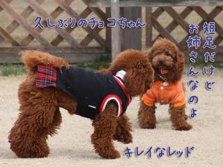 20130106_07.jpg