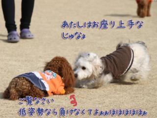 20130106_08.jpg