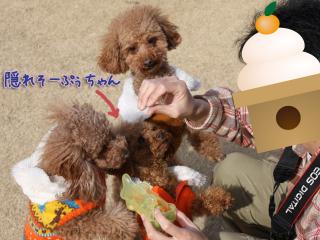 20130106_09.jpg