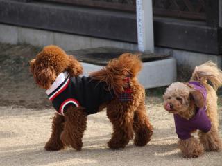 20130106_11.jpg