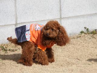 20130106_13.jpg