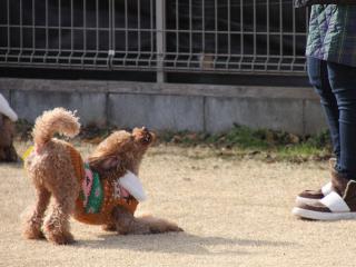 20130106_14.jpg