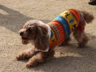20130106_15.jpg