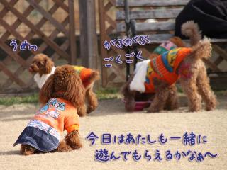 20130106_19.jpg