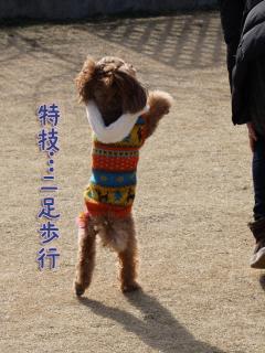 20130106_20.jpg