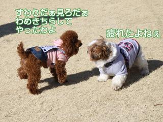 20130224_34.jpg