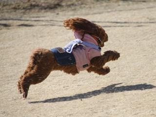 20130224_35.jpg