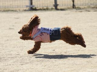 20130224_36.jpg