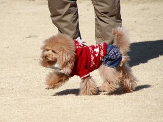 20130224_38.jpg