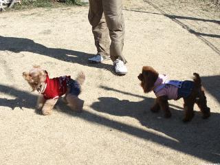 20130224_39.jpg