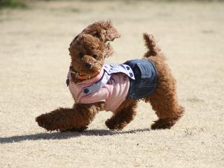 20130224_41.jpg