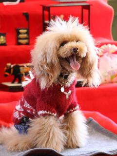 20130224_47.jpg