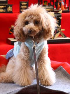 20130224_49.jpg