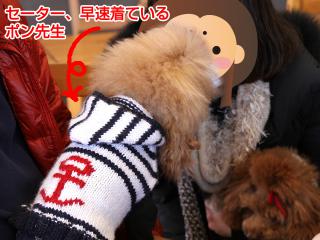 20130224_57.jpg