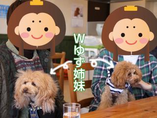 20130224_58.jpg