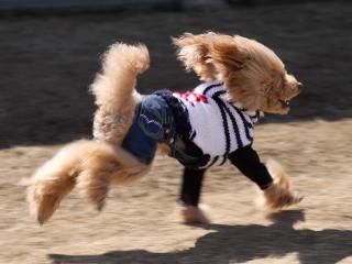 20130224_65.jpg
