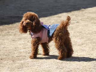 20130224_66.jpg