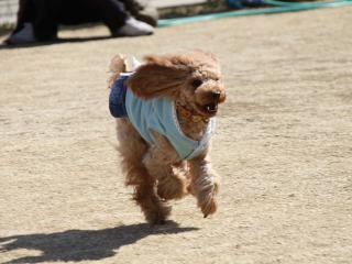 20130224_68.jpg